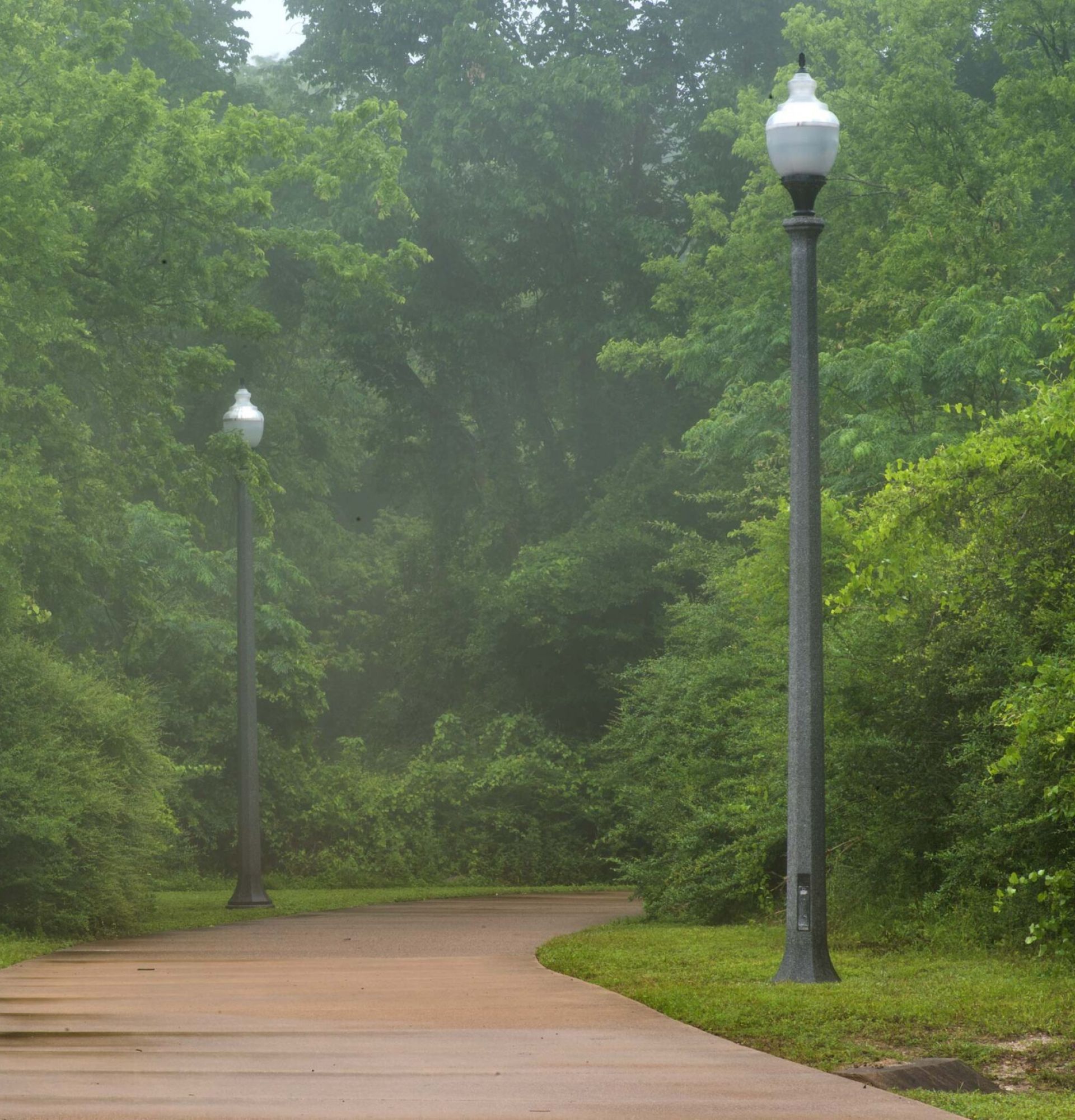 The Arbors at Wolf Pen Creek apartments A misty, curved path with lampposts surrounded by lush green trees and a nearby information sign.