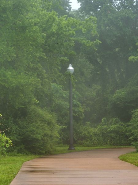 The Arbors at Wolf Pen Creek apartments A misty, curved path with lampposts surrounded by lush green trees and a nearby information sign.