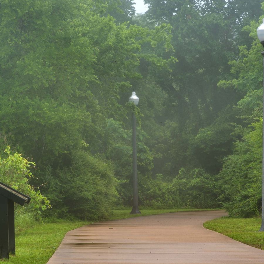 The Arbors at Wolf Pen Creek apartments A misty, curved path with lampposts surrounded by lush green trees and a nearby information sign.