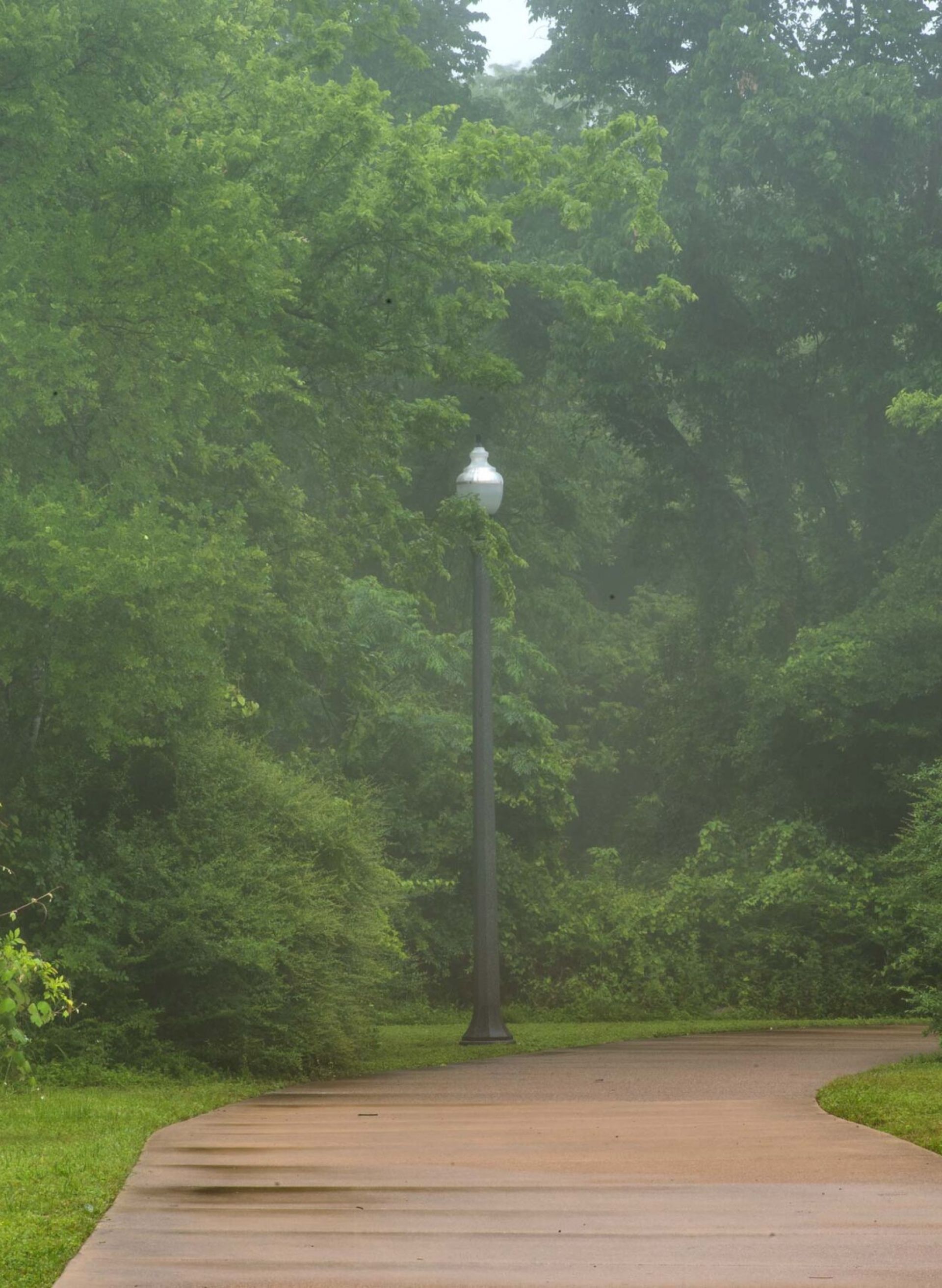 The Arbors at Wolf Pen Creek apartments A misty, curved path with lampposts surrounded by lush green trees and a nearby information sign.