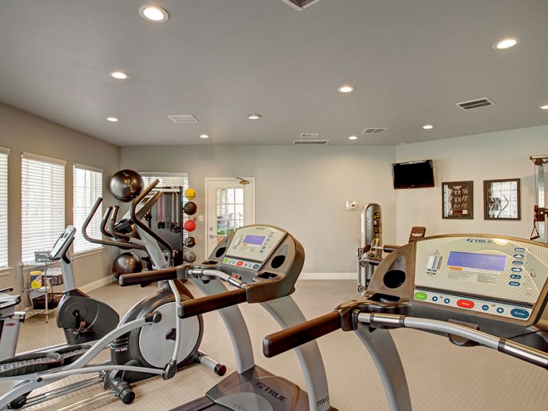 The Arbors at Wolf Pen Creek apartments Fitness room with treadmills, exercise bikes, and weight racks. Bright lighting and large windows.